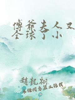 傅爷夫人又惊艳全球了小