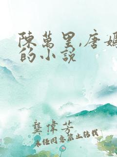 陈万里,唐嫣然的小说