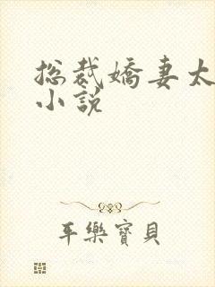 总裁娇妻太会撩小说