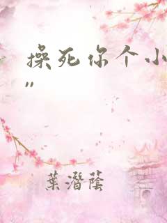 操死你个小骚货,,
