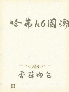 哈弗h6国潮版