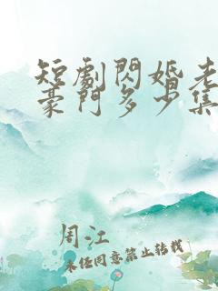 短剧闪婚老公是豪门多少集