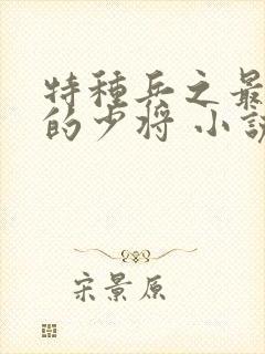 特种兵之最年轻的少将 小说