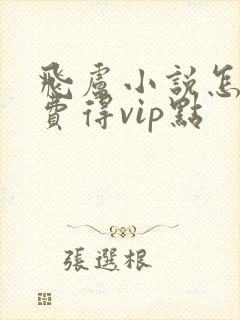 飞卢小说怎么免费得vip点