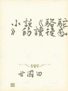 小说《骆驼祥子》的读后感