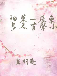 神墓—辰东免费多人有声小说