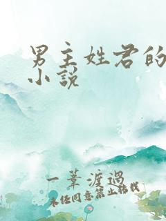 男主姓君的现代小说