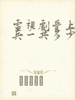 电视剧爱上特种兵一共多少集