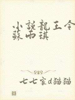 小说龙王令陈平苏雨琪