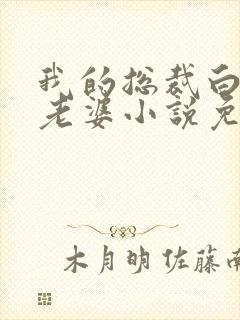 我的总裁白富美老婆小说免费阅读原文