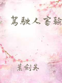 驾驶人审验教育