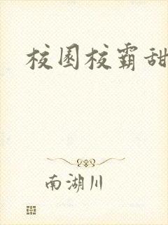 校园校霸甜文