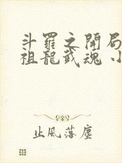 斗罗之开局签到祖龙武魂 小说