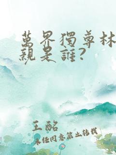 万界独尊林枫母亲是谁?
