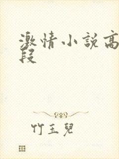 激情小说高潮片段