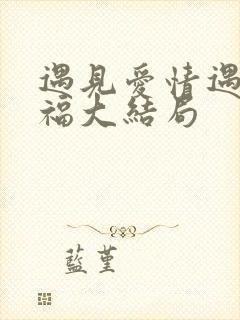 遇见爱情遇见幸福大结局