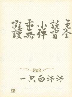 假乖小说免费阅读无弹窗全文