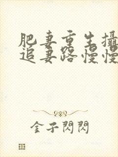 肥妻重生摄政王追妻路慢慢