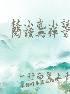 林小岚小说免费阅读无弹窗