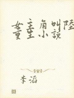 女主角叫陆晚的重生小说