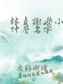 林贞谢嵘小说叫什么名字 林贞谢嵘小说叫什么名字