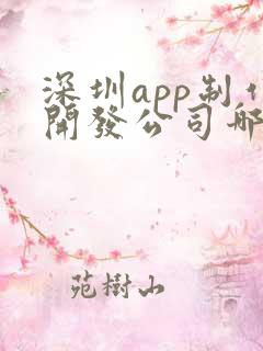 深圳app制作开发公司哪家好