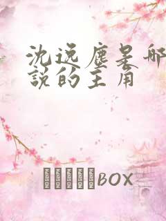 沈逸尘是哪本小说的主角