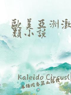 欧美亚洲激情另类小说