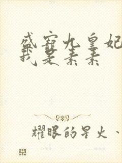 盛宠九皇妃作者我是素素