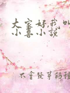大家好,我叫林小喜小说