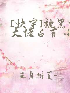 [快穿]被黑化大佬占有 小说