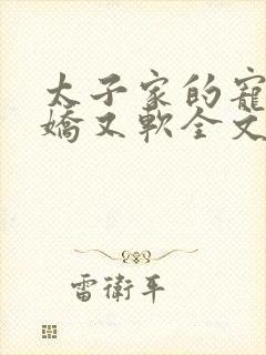 太子家的宠妾又娇又软全文免费阅读