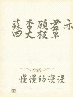 苏杳顾君亦国防四大校草