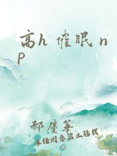 高h 催眠 np