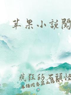 苹果小说阅读器 苹果小说阅读器