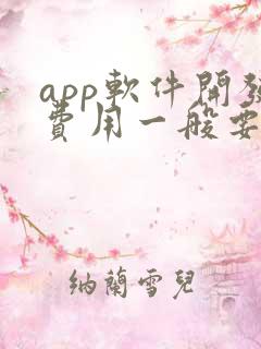 app软件开发费用一般要多钱