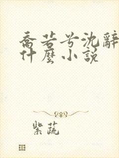 乔若兮沈辞安是什么小说