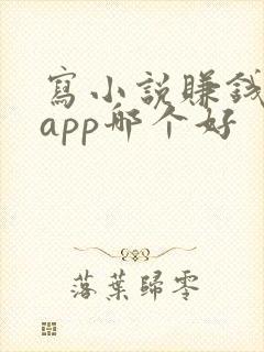 写小说赚钱软件app哪个好