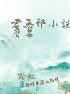 君无邪小说叫什么名