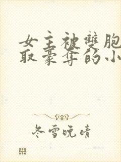 女主被双胞胎强取豪夺的小说 女主被双胞胎强取豪夺的小说