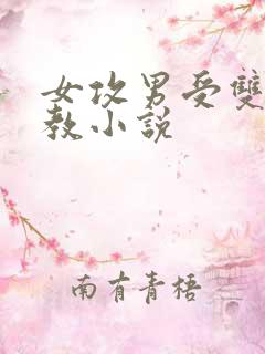 女攻男受双性调教小说