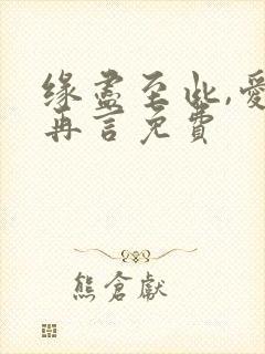 缘尽至此,爱不再言免费