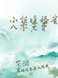 小说暖婚蜜恋在八零免费