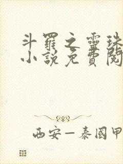 斗罗之灵珠神剑小说免费阅读txt下载
