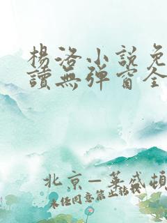杨洛小说免费阅读无弹窗全文