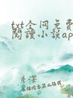 txt全网免费阅读小说app下载