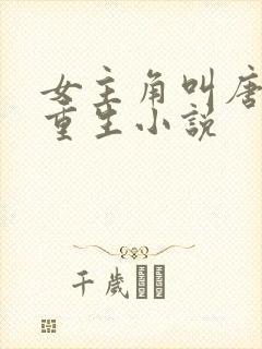 女主角叫唐晚的重生小说 女主角叫唐晚的重生小说