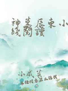 神墓辰东小说在线阅读 神墓辰东小说在线阅读