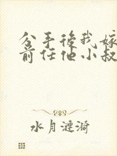分手后我嫁给了前任他小叔(