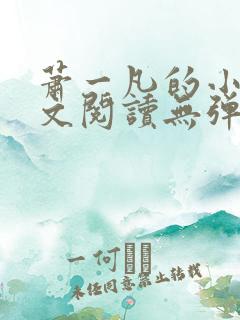 萧一凡的小说全文阅读无弹窗